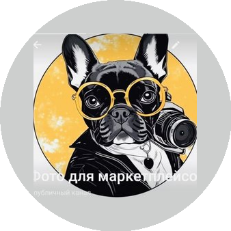 Моцарт, предметная фотостудия