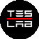 Teslab.spb