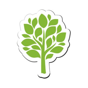 Михайлова Александра Александровна