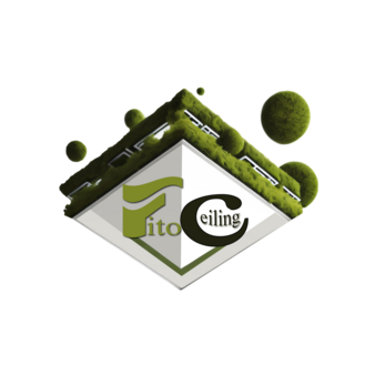 Кизина Антон Игоревич