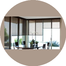 Васильева Анастасия Олеговна