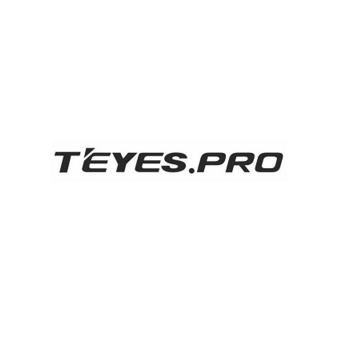 Teyes Pro (ИП Антошкин Дмитрий Александрович)
