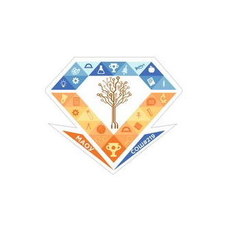 МАОУ Средняя Общеобразовательная Школа № 219