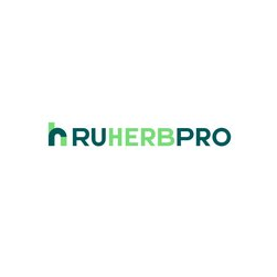 Айтисолюшн