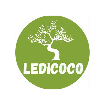 Кормина Диана Нуритдиновна