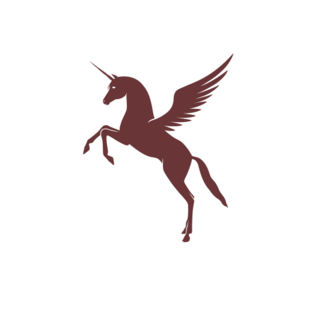 Unicorn Capital Partners