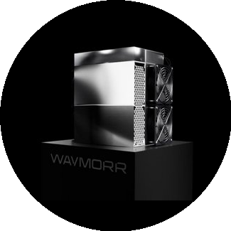 Воробьёва Тая Андреевна