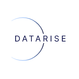 DataRise