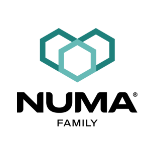 NUMA FAMILY