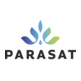 PARASAT II