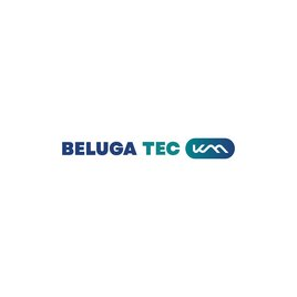 БЕЛУГА ПРОДЖЕКТС ЛОДЖИСТИК