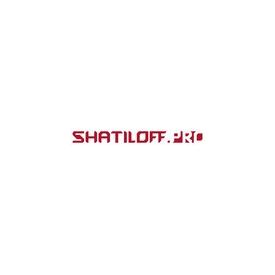 Шатилов Дмитрий Борисович