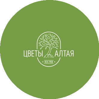 Цветы Алтая