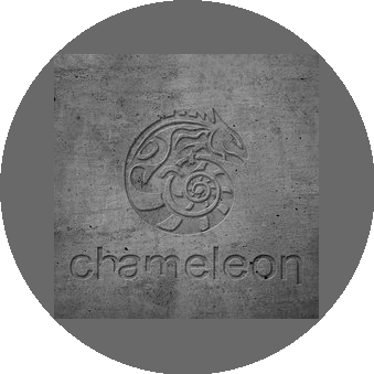 Дизайн студия Chameleon