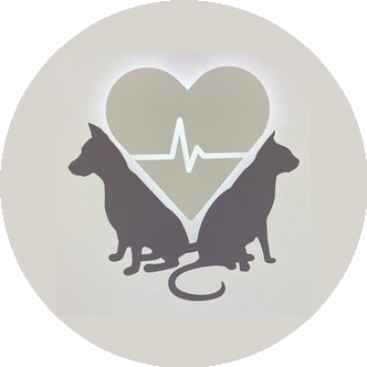 Кочев Виталий Юрьевич