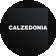 Calzedonia (   )