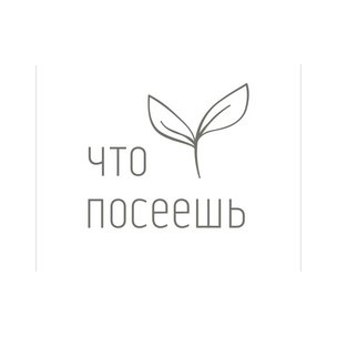 Что посеешь