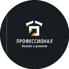 Профессионал