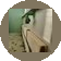 ������67