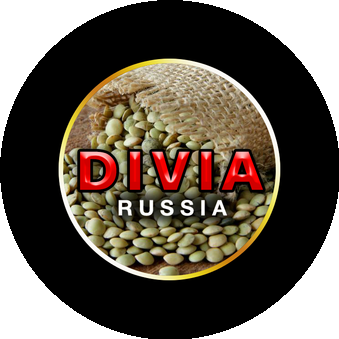 Кориневский Антон Николаевич