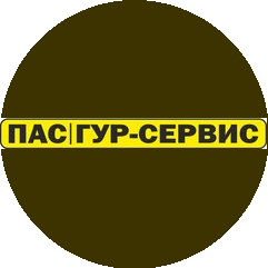 ПЕРВЫЙ АВТОСЕРВИС ( ИП Башкатов Т.А)