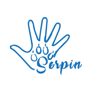 ОФ НАЦИОНАЛЬНЫЙ ФОНД СОЦИАЛЬНОГО РАЗВИТИЯ СЕРПІН