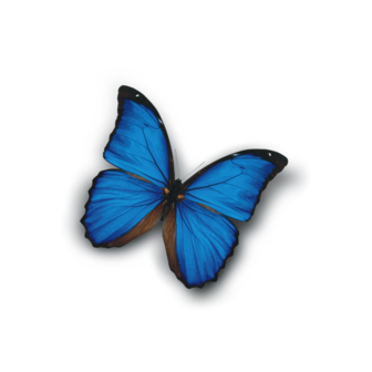 Дом Бабочек