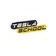 Tesla School