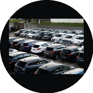 Сергеева Мария Александровна