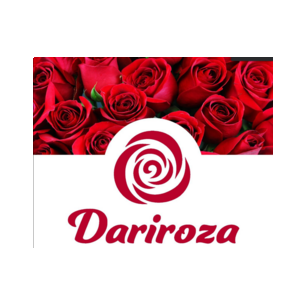 ДариРоза