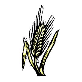 Ильичевка Астык