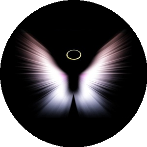 BEAUTY ANGEL