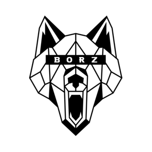 ОсОО Борз Интернешнл