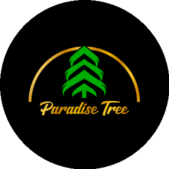 Кукуев Алексей Валерьевич