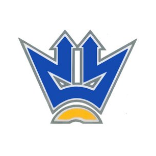 НПП ЮгОРГРЭС