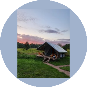 Йети на комете