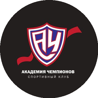 Академия Чемпионов