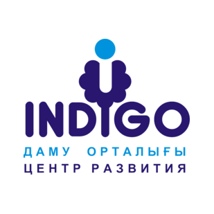 Indigo Team