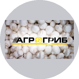Агрогриб