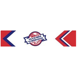Академия Чемпионов