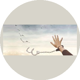 Юридическая компания Эксперт