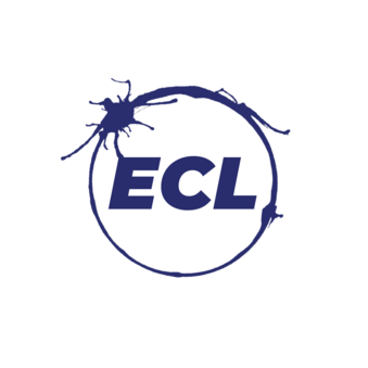 Бражникова Елена Владимировна