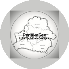 Винцевич Денис Константинович