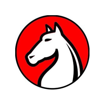 CITY CHESS FRANCHISE