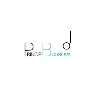 ПРИНЦИП БОБРОВА