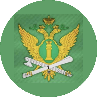 ГУФССП России по г.Санкт-Петербургу