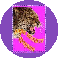 Цирк шапито Фараон