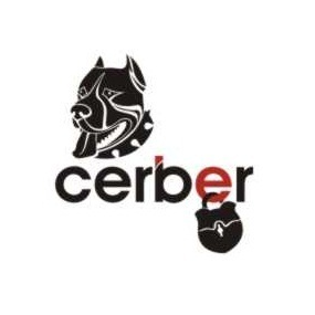 Евстигнеев П.А.