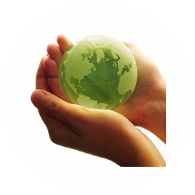 Городской центр дезинфекции