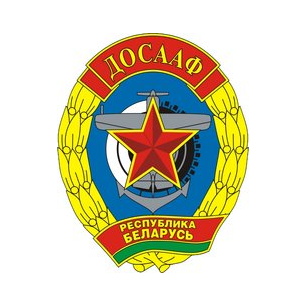 Фрунзенская РОС ДОСААФ